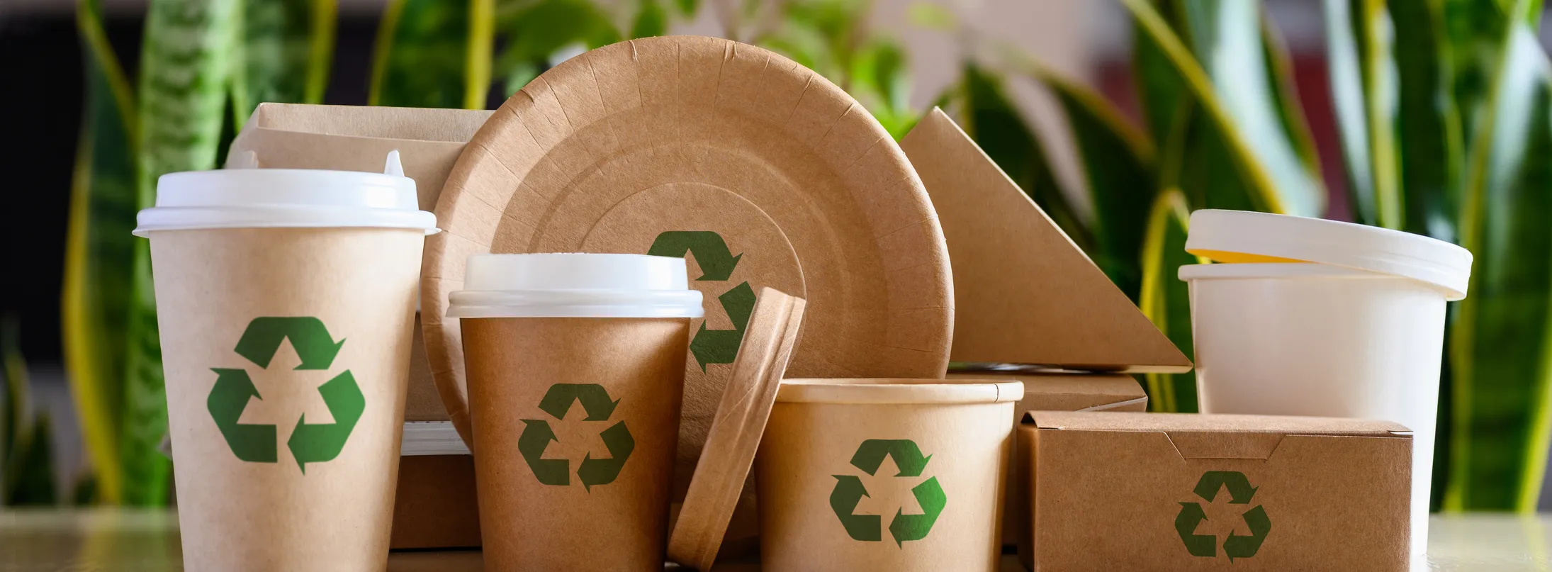 Paper eco-friendly disposable tableware with recycling signs on the background of green plants.